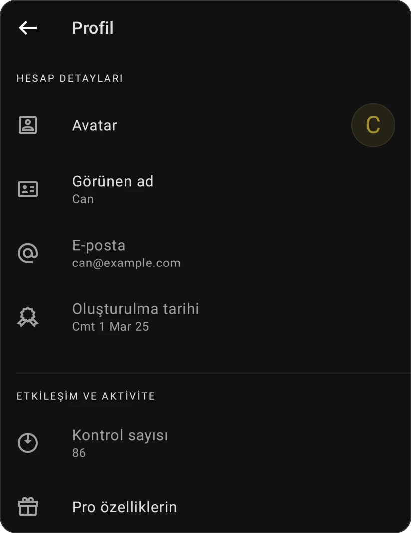 Profil: Avatar, Görünen ad, E-posta ve Oluşturulma tarihi ile Hesap ayrıntıları; giriş sayısı ve Pro özellikleriniz ile Etkileşim ve etkinlik